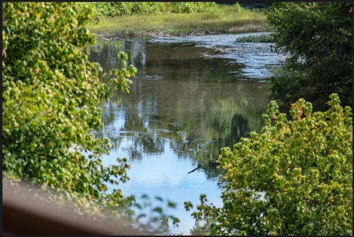 פיג'ן פורג' Bandit'S Riverfront Retreat - Mountain View- Condo-Fishing-Balcony-Fireplace-Great Location! מראה חיצוני תמונה