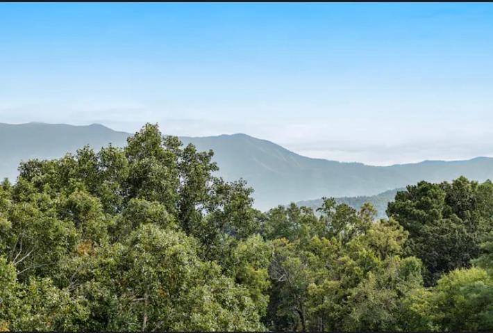 פיג'ן פורג' Bandit'S Riverfront Retreat - Mountain View- Condo-Fishing-Balcony-Fireplace-Great Location! מראה חיצוני תמונה