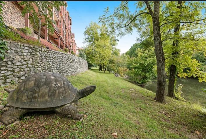 פיג'ן פורג' Bandit'S Riverfront Retreat - Mountain View- Condo-Fishing-Balcony-Fireplace-Great Location! מראה חיצוני תמונה